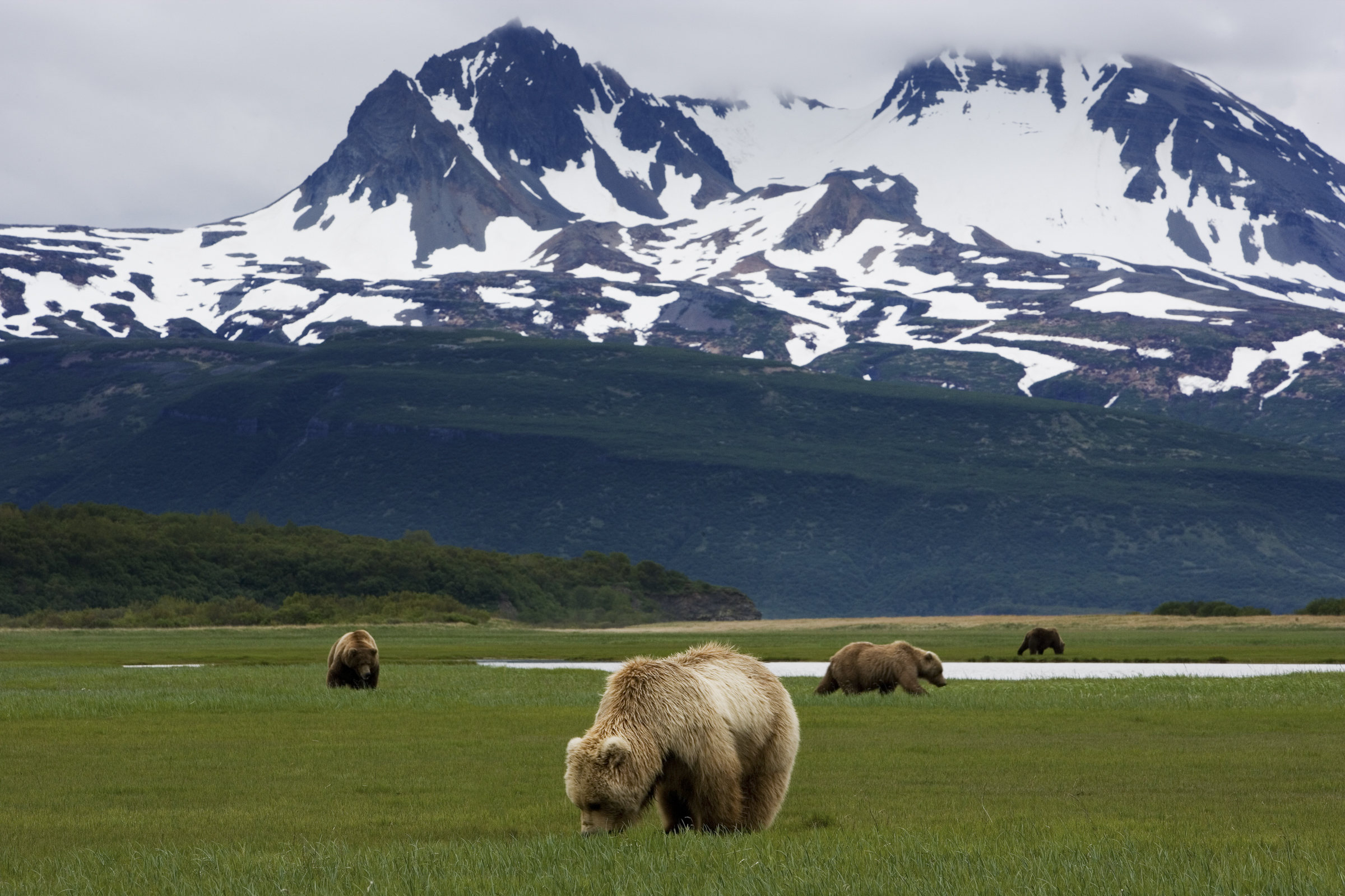 Первый национальный парк 1983. Катмай Аляска. Нац парк Катмай. Katmai National Park, Alaska. Горы парка Катмай.